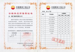 中國寰球